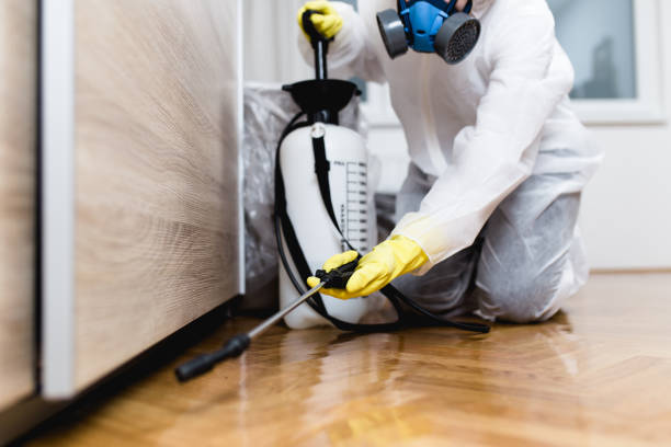 Best Insect Control  in Reed Creek, GA