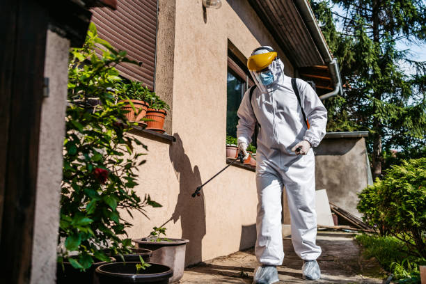 Best Best Pest Control Companies  in Reed Creek, GA