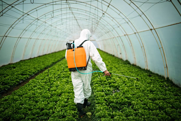 Professional Pest Control in Reed Creek, GA