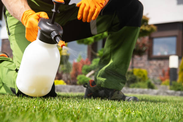 Best Insect Control  in Reed Creek, GA