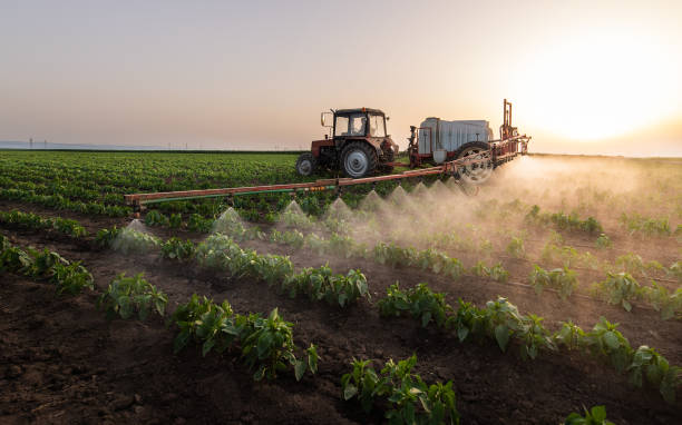 Best Ant Control Services  in Reed Creek, GA