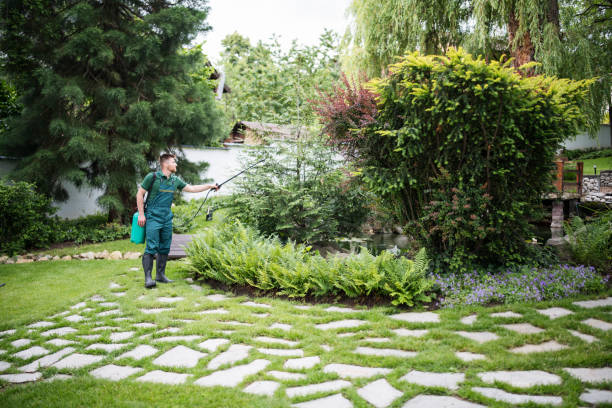 Best Local Pest Control Services  in Reed Creek, GA