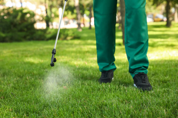 Best Exterminator Services  in Reed Creek, GA