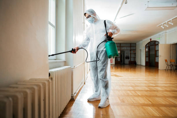 Best Affordable Pest Control Services  in Reed Creek, GA