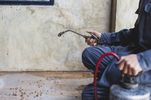 Best Mosquito Control Services  in Reed Creek, GA