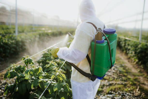 Best Pest Control Near Me  in Reed Creek, GA